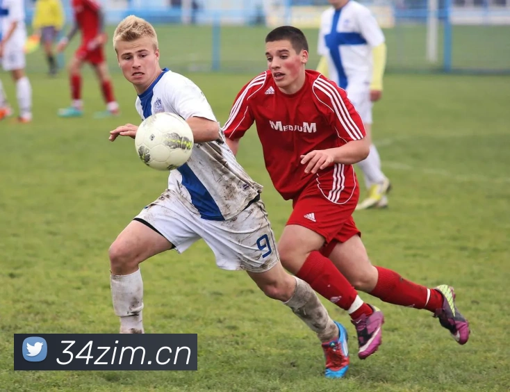 多媒体互动体验